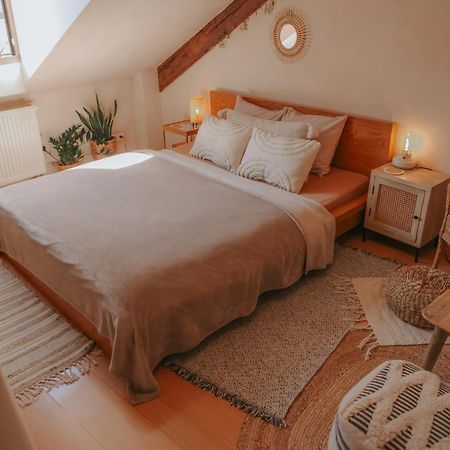 Cozy Apartment In The Heart Of The Historic City บราติสลาวา ภายนอก รูปภาพ
